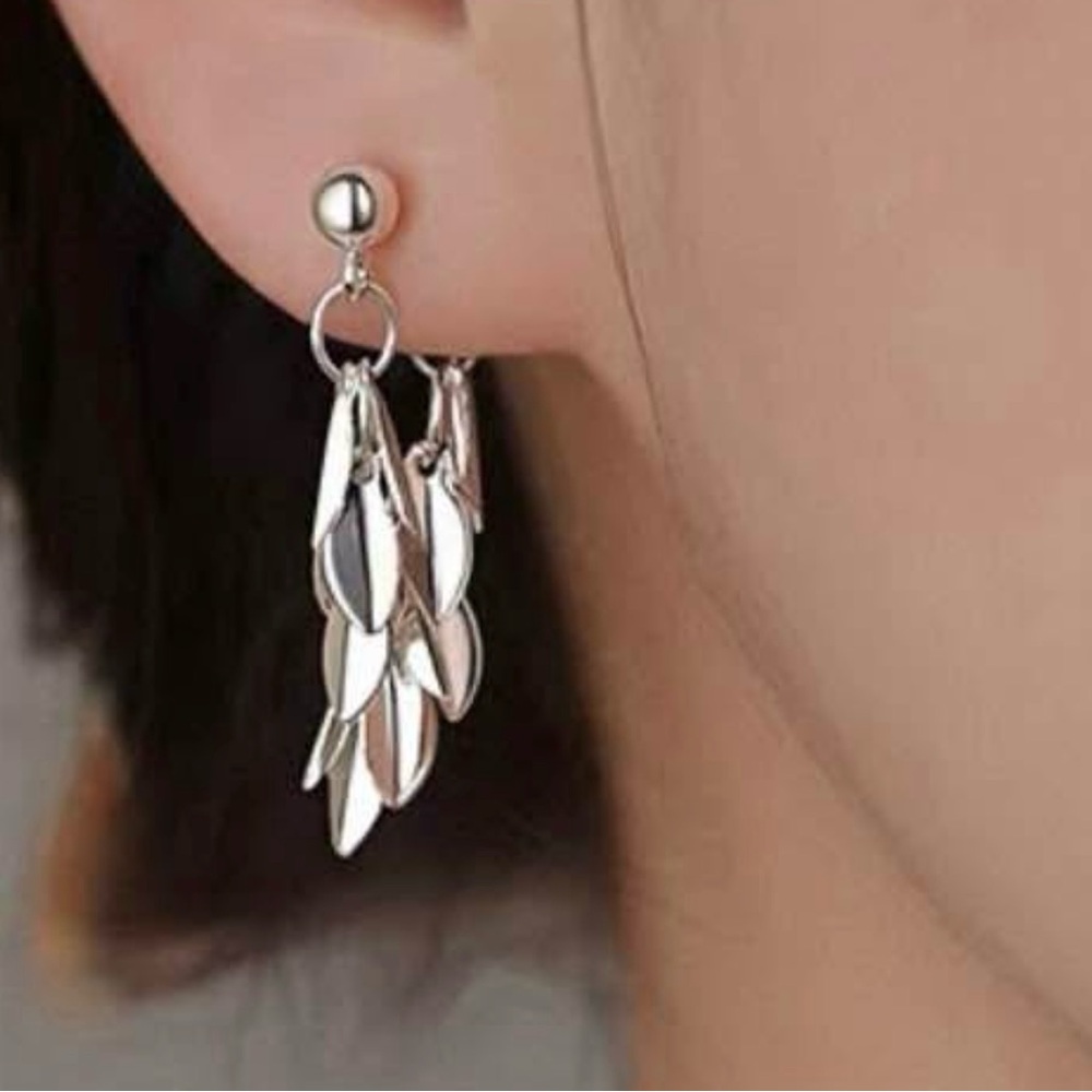 Elegant Silver Dangle Earrings
